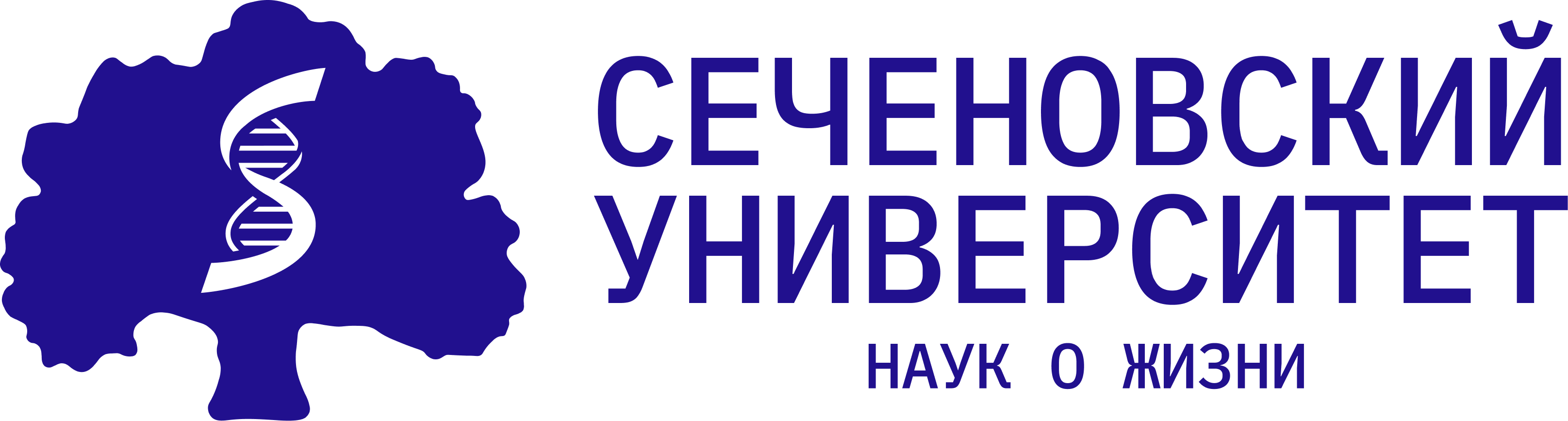 sechenov.png